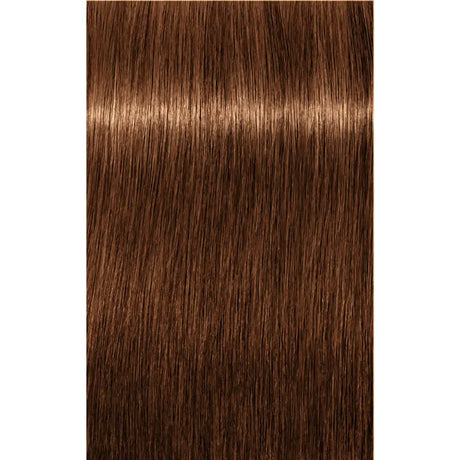 Vopsea De Păr Permanenentă Pentru Fire Albe Schwarzkopf Professional Igora Royal Absolutes 60ml - 8.60 Blond Deschis