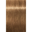 Vopsea De Păr Permanenentă Pentru Fire Albe Schwarzkopf Professional Igora Royal Absolutes 60ml - 8.50 Blond Deschis