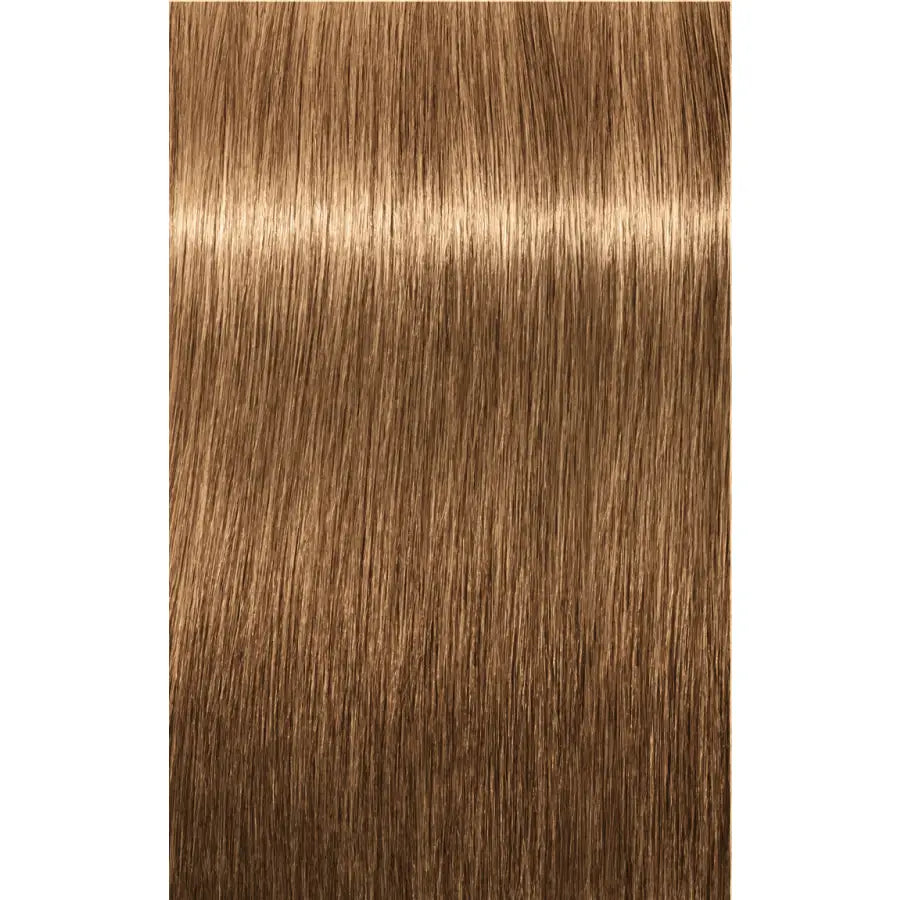 Schwarzkopf Professional Igora Royal Absolutes Vopsea permanentă 60 ml