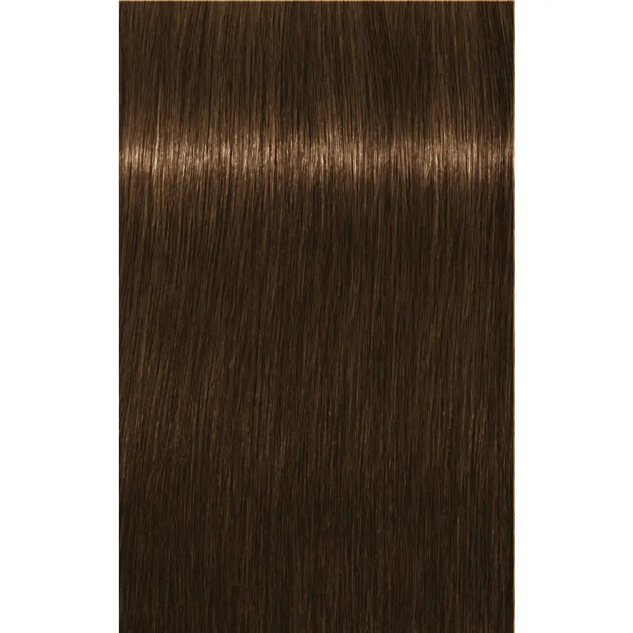 Schwarzkopf Professional Igora Royal Absolutes Vopsea permanentă 60 ml