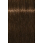 Schwarzkopf Professional Igora Royal Absolutes Vopsea permanentă 60 ml