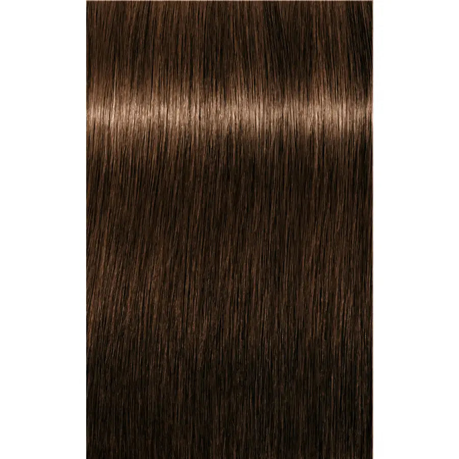 Schwarzkopf Professional Igora Royal Absolutes Vopsea permanentă 60 ml