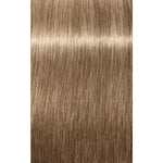 Schwarzkopf Professional Igora Royal Absolutes Vopsea permanentă 60 ml