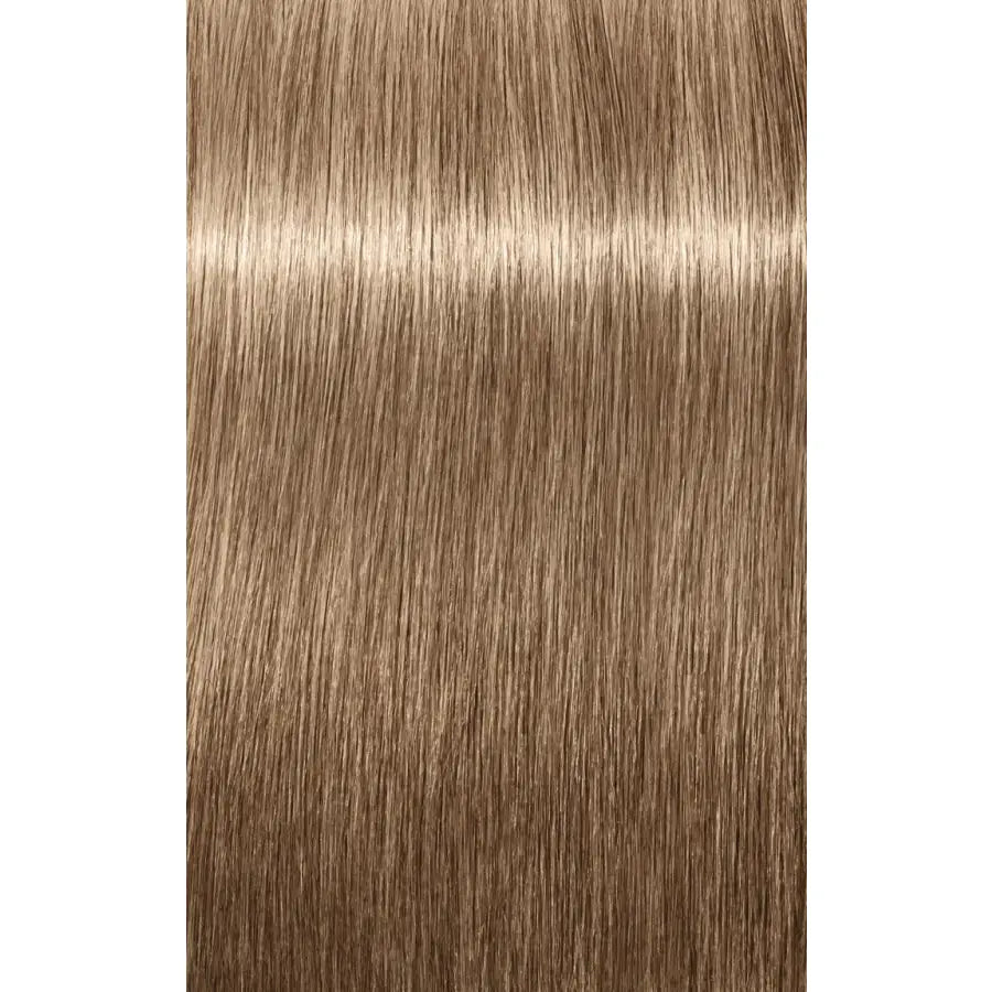 Schwarzkopf Professional Igora Royal Absolutes Vopsea permanentă 60 ml