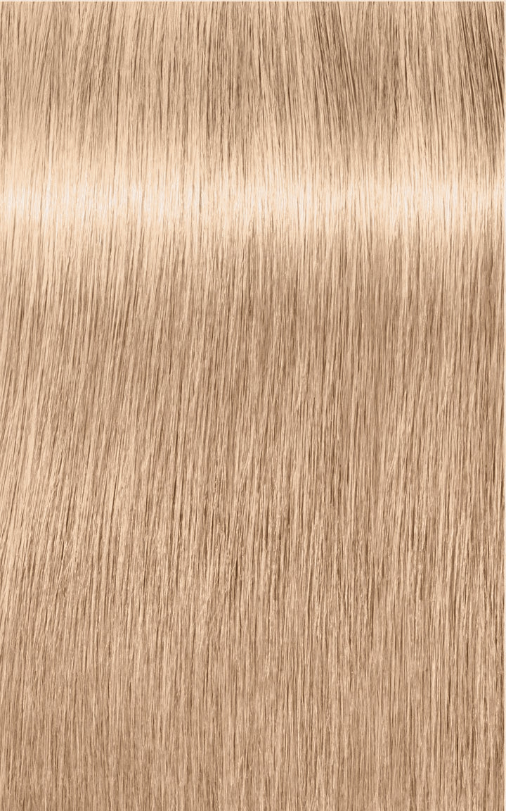 Vopsea De Păr Permanentă Schwarzkopf Professional Igora Royal Highlifts 60ml - 10.19 Blond Platinat Cenușiu Violet