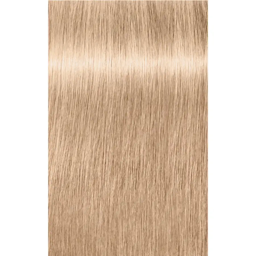 Vopsea De Păr Permanentă Schwarzkopf Professional Igora Royal Highlifts 60ml - 10.19 Blond Platinat Cenușiu Violet